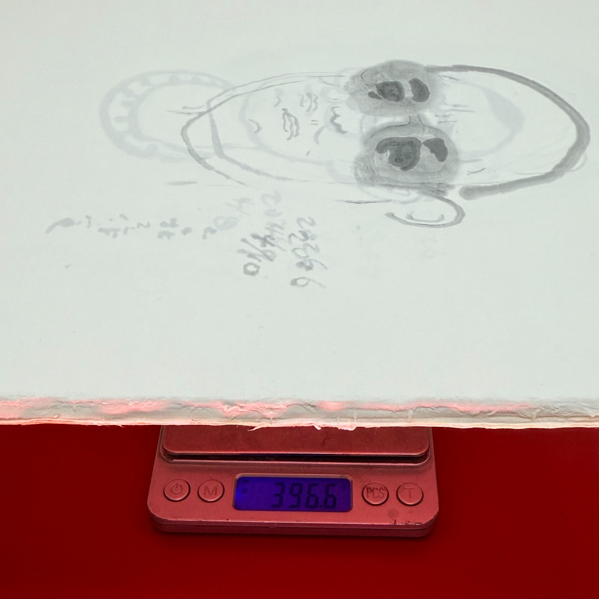 《自畫像5》紙張堆疊重量量測:396.6公克